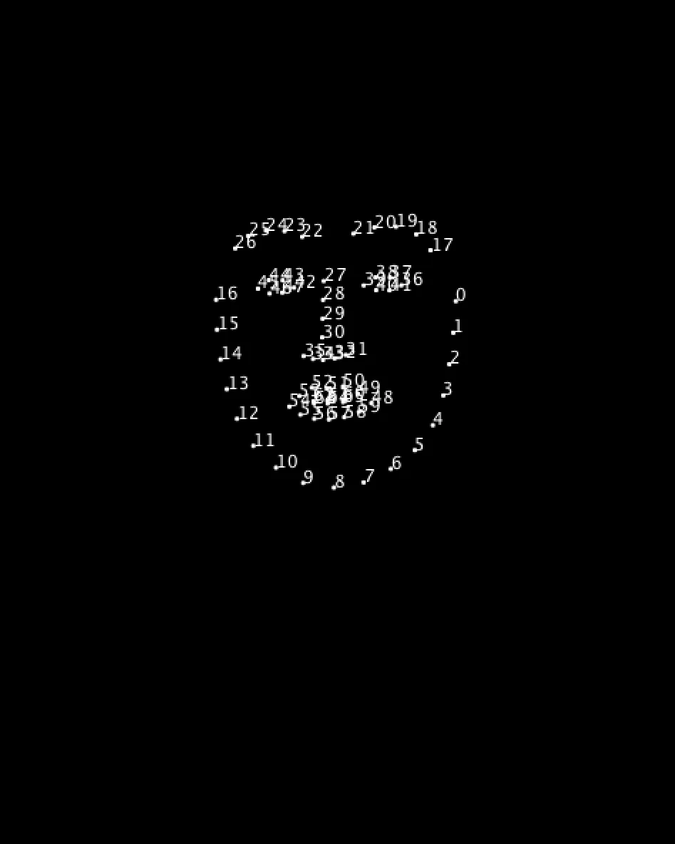Miriam Felici, portrait drawn as face-tracking points